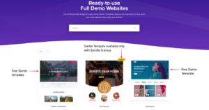 Website Design and Development